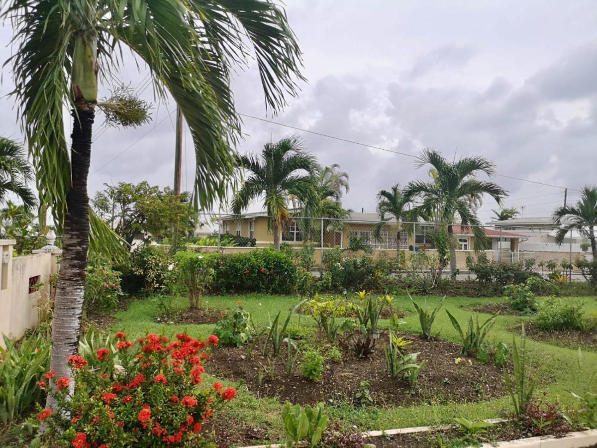 Ventnor House Apartments Μπριτζτάουν Εξωτερικό φωτογραφία